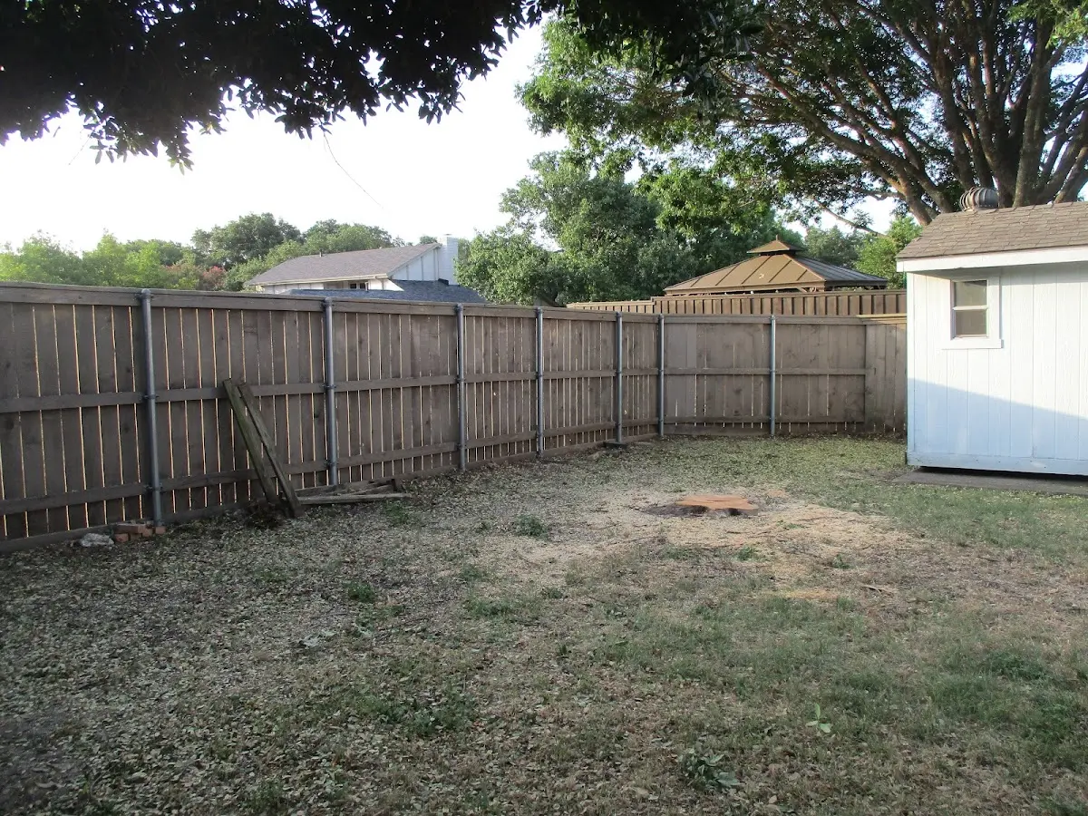 Cleared yard after professional tree removal in Twinsburg